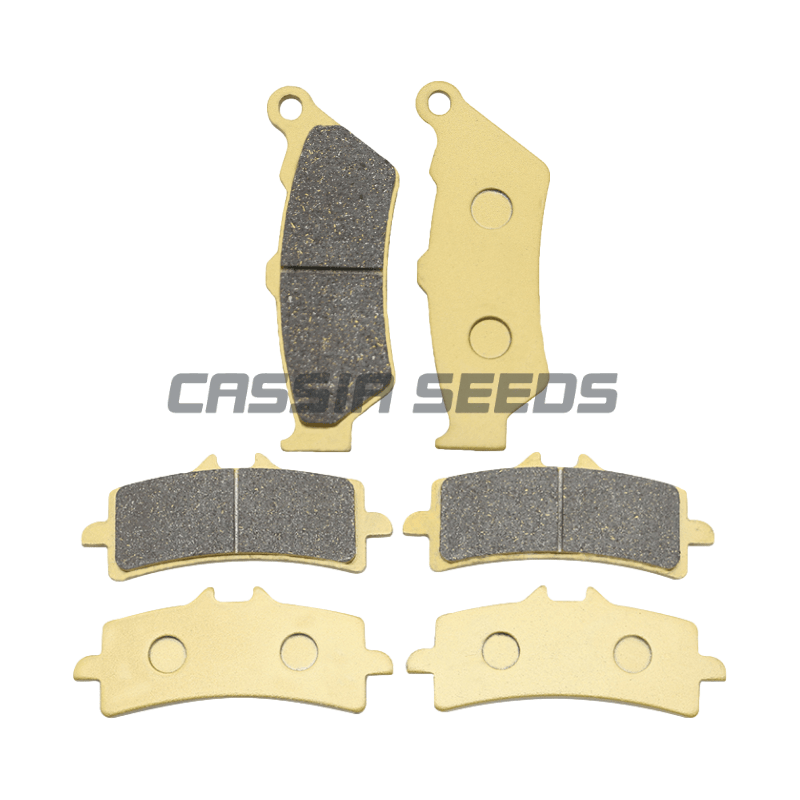 Bantalan Rem Depan dan Belakan - Carbon Ceramic Motorcycle Brake Rotor ulasan dan harga