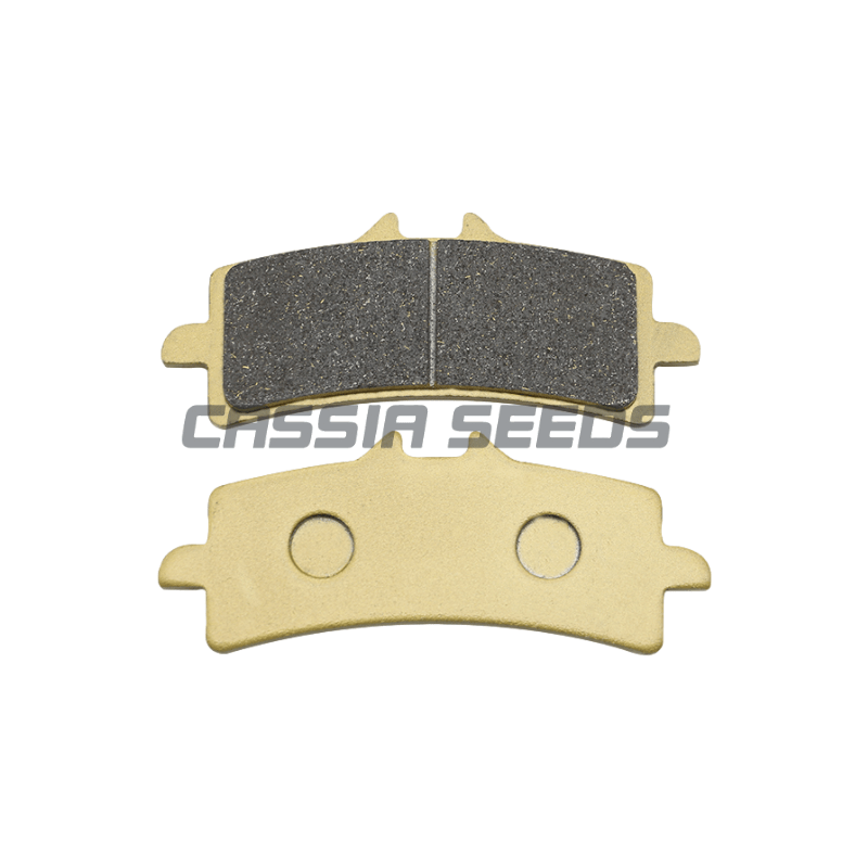 Bantalan Rem Depan dan Belakan - Carbon Ceramic Motorcycle Brake Rotor ulasan dan harga