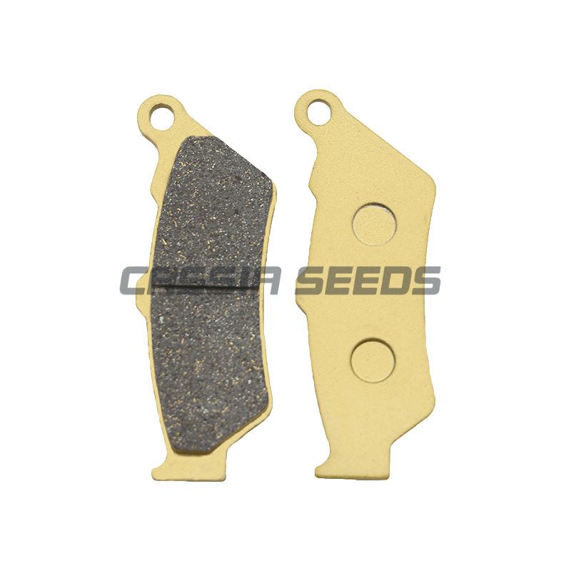 Bantalan Rem Depan dan Belakan - Carbon Ceramic Motorcycle Brake Rotor ulasan dan harga